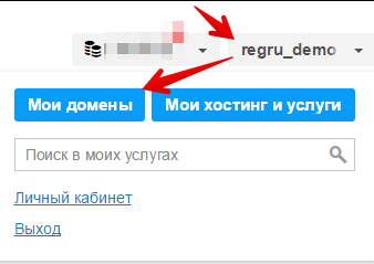 изменение DNS домена на сайте Reg.ru